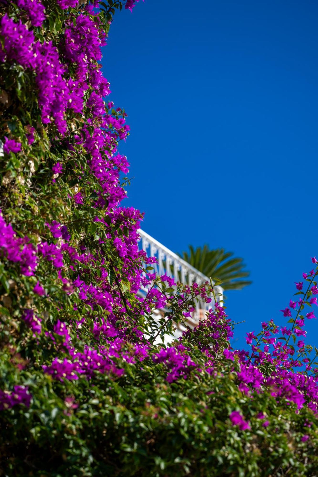 Casetta Arienzo Positano Exterior photo